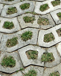 groene transitie